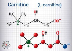 Carnitine Lcarnitine Molecule Structural Chemical Formula L Carnitine Vs Acetyl L Carnitine Ss