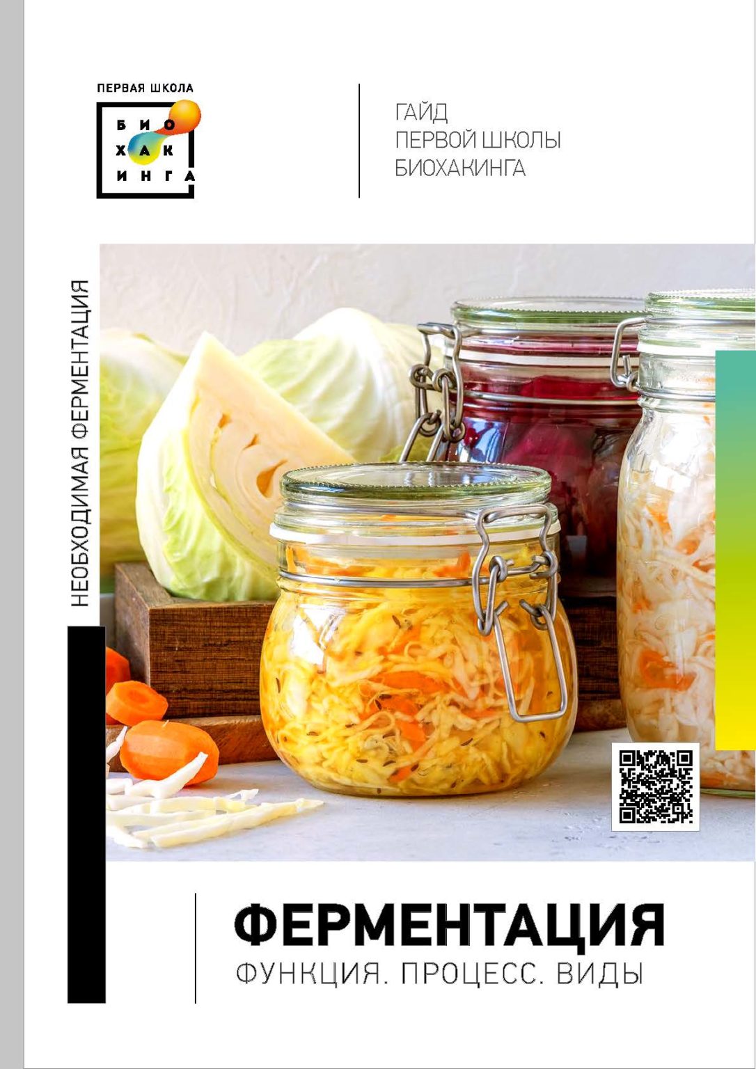 Гайд по ферментации — Первая Школа Биохакинга