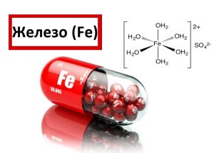 Zhelezo Fe Rol Zheleza V Organizme