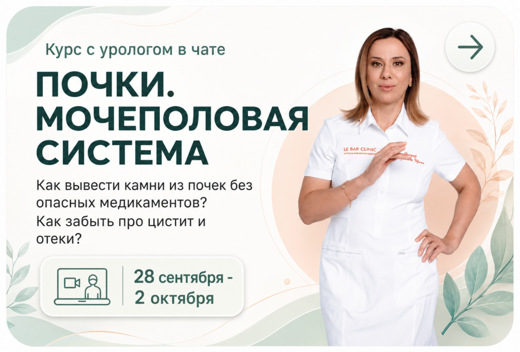 Cdbaf034 b0d6 44ec 8ec4 a7b3c1806072